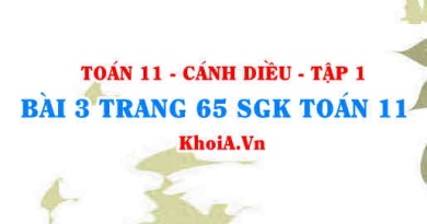 Bài 3 trang 65 SGK Toán 11 tập 1 Cánh Diều